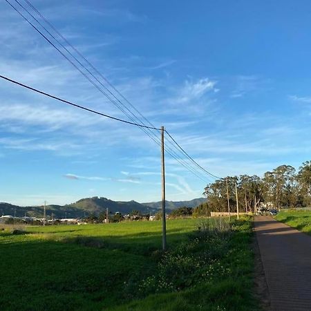 La Macadamia Villa La Laguna  Eksteriør bilde